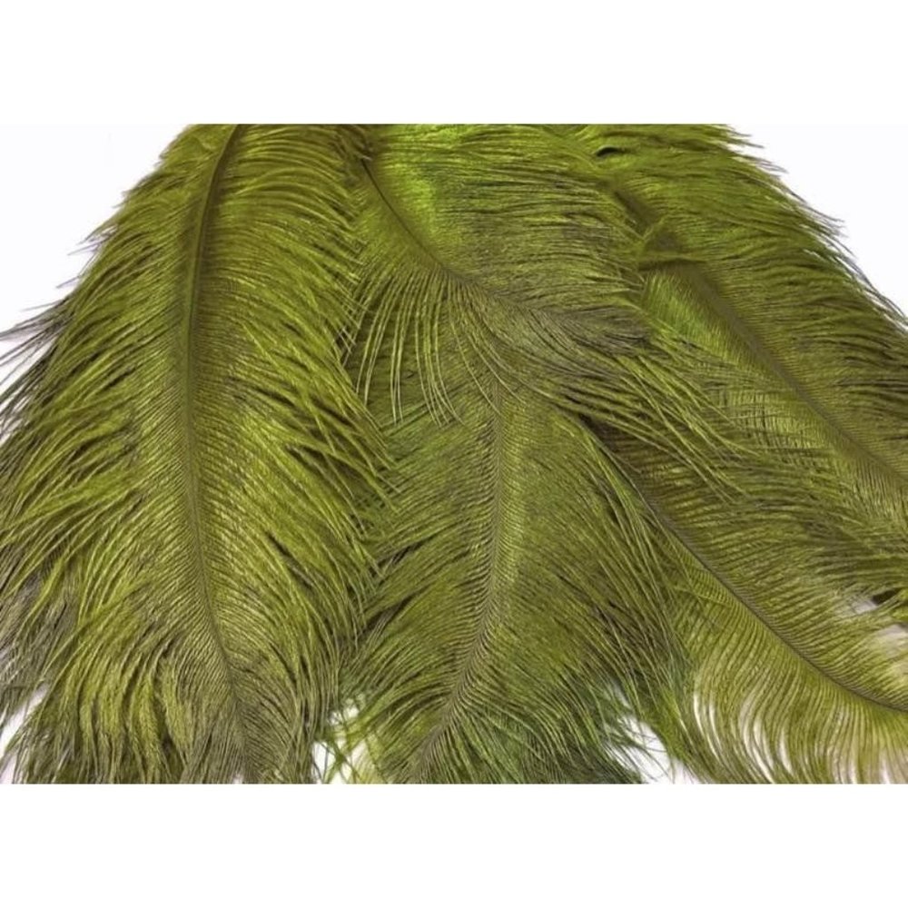 10 count | Sage Olive Green Feathers size 12-14 inches Wedding Bouquet Decor - Picture 2 of 3